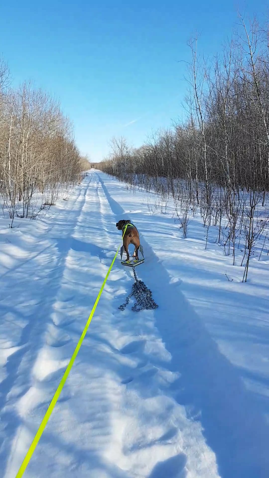 59328158_351348252253980_6346769857308000256_n