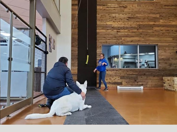 Jan 26th 4pm LVDS Club Meet